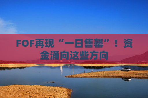 FOF再现“一日售罄”！资金涌向这些方向  第1张