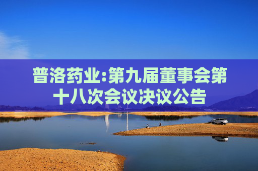 普洛药业:第九届董事会第十八次会议决议公告