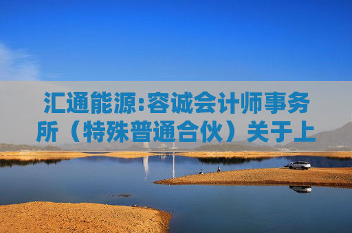 汇通能源:容诚会计师事务所（特殊普通合伙）关于上海汇通能源股份有限公司非经常性损益鉴证报告