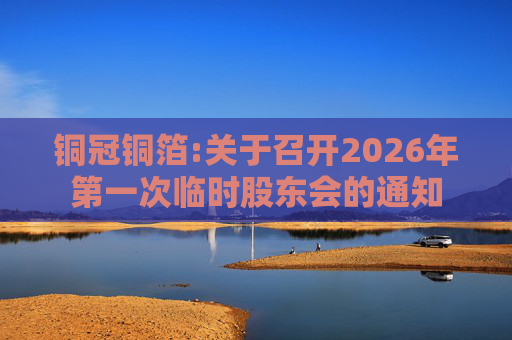 铜冠铜箔:关于召开2026年第一次临时股东会的通知