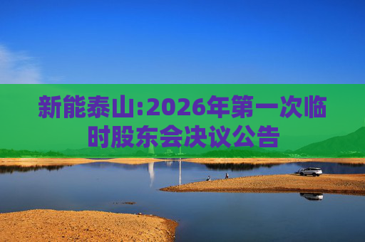 新能泰山:2026年第一次临时股东会决议公告