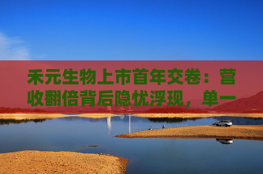 禾元生物上市首年交卷：营收翻倍背后隐忧浮现，单一产品困局与专利战阴云待解