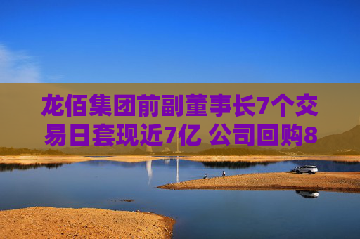 龙佰集团前副董事长7个交易日套现近7亿 公司回购8个月仅花2548万元！股吧投资者质疑“公司就不想回购”