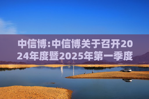 中信博:中信博关于召开2024年度暨2025年第一季度业绩说明会的公告  第1张