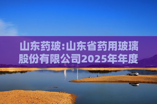 山东药玻:山东省药用玻璃股份有限公司2025年年度报告