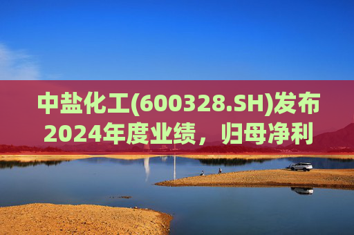 中盐化工(600328.SH)发布2024年度业绩，归母净利润5.19亿元，同比下降56.32%  第1张