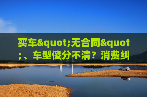 买车"无合同"、车型傻分不清？消费纠纷这样维权更有效