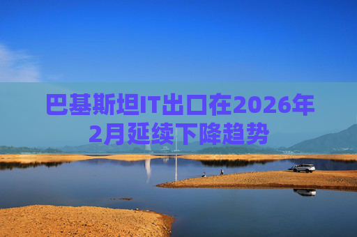巴基斯坦IT出口在2026年2月延续下降趋势