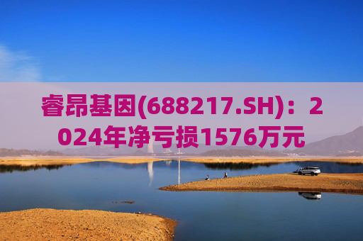 睿昂基因(688217.SH)：2024年净亏损1576万元  第1张