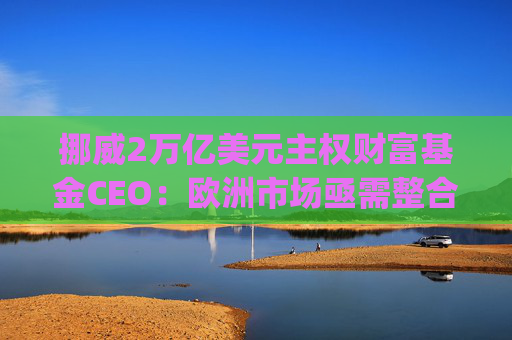 挪威2万亿美元主权财富基金CEO：欧洲市场亟需整合，"赢家通吃"