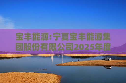宝丰能源:宁夏宝丰能源集团股份有限公司2025年度独立董事述职报告（孙积禄）