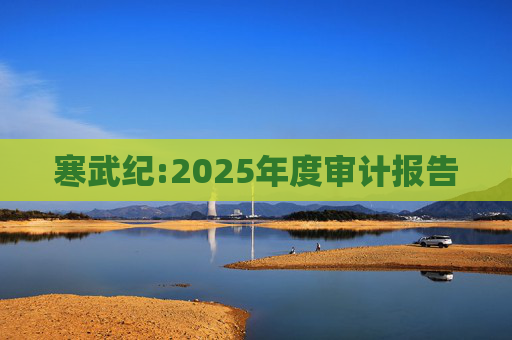 寒武纪:2025年度审计报告