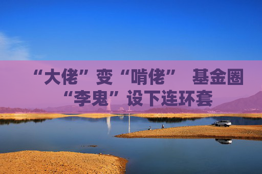 “大佬”变“啃佬”  基金圈“李鬼”设下连环套