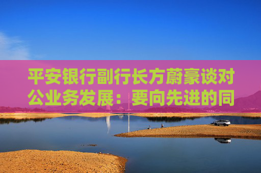平安银行副行长方蔚豪谈对公业务发展：要向先进的同行多去学习，同时要大快步赶上
