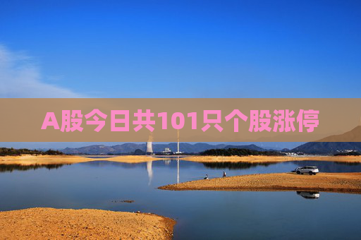 A股今日共101只个股涨停