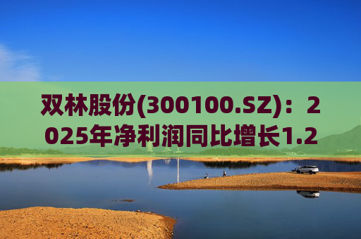 双林股份(300100.SZ)：2025年净利润同比增长1.25% 拟10股派1元