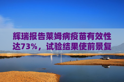 辉瑞报告莱姆病疫苗有效性达73%，试验结果使前景复杂化