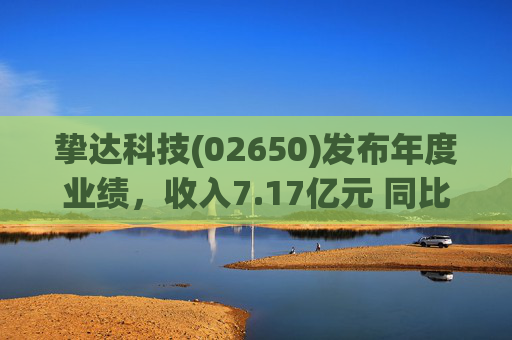 挚达科技(02650)发布年度业绩，收入7.17亿元 同比增加20.75% 海外业务收入创历史新高