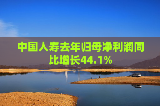 中国人寿去年归母净利润同比增长44.1%  第1张