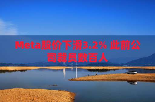 Meta股价下滑3.2% 此前公司裁员数百人