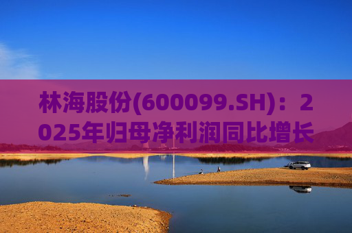 林海股份(600099.SH)：2025年归母净利润同比增长33.24%，每股拟派利0.045元