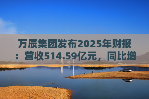 万辰集团发布2025年财报：营收514.59亿元，同比增长59.17%