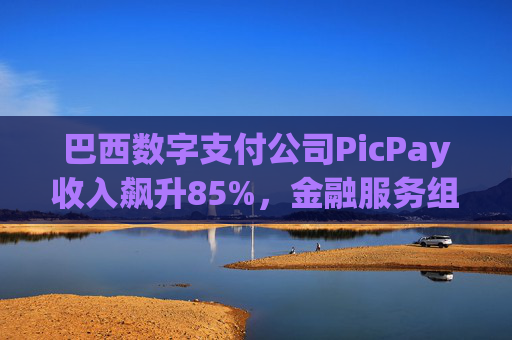 巴西数字支付公司PicPay收入飙升85%，金融服务组合持续扩大  第1张