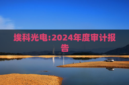 埃科光电:2024年度审计报告