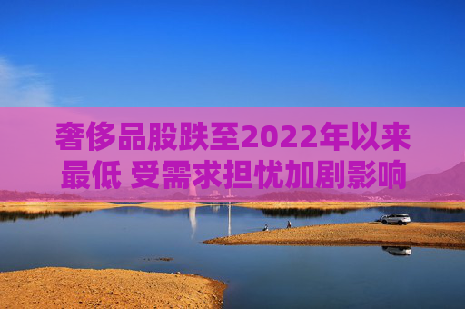 奢侈品股跌至2022年以来最低 受需求担忧加剧影响