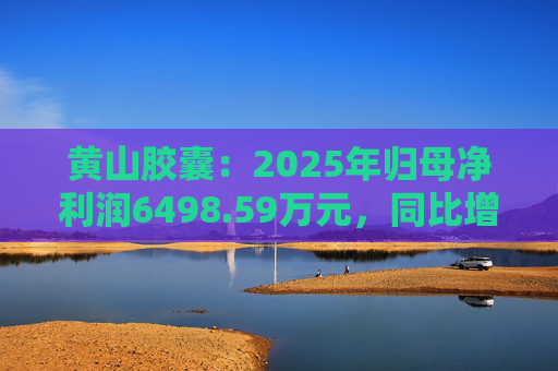 黄山胶囊：2025年归母净利润6498.59万元，同比增长31.94%