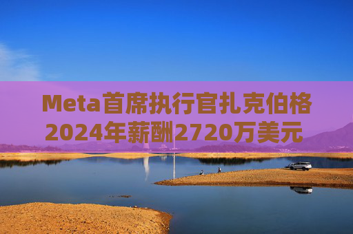 Meta首席执行官扎克伯格2024年薪酬2720万美元 高于上年的2440万美元
