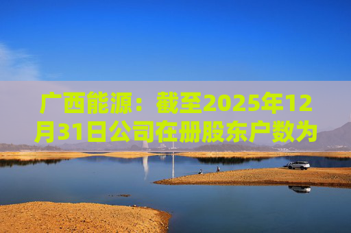 广西能源：截至2025年12月31日公司在册股东户数为53413户