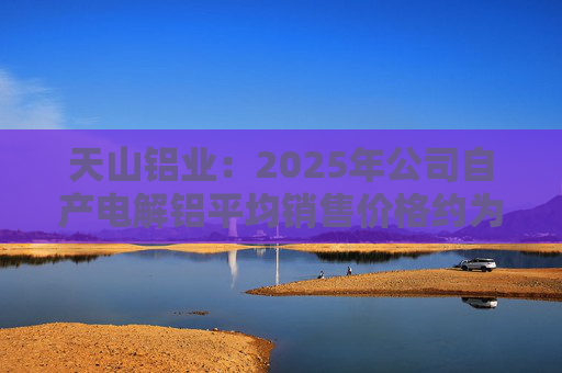 天山铝业：2025年公司自产电解铝平均销售价格约为20600元/吨