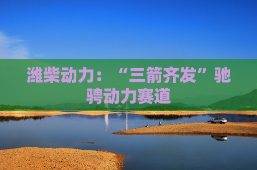 潍柴动力：“三箭齐发”驰骋动力赛道  第1张