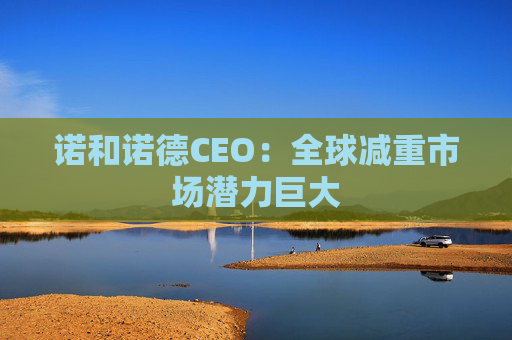 诺和诺德CEO：全球减重市场潜力巨大