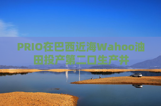 PRIO在巴西近海Wahoo油田投产第二口生产井  第1张