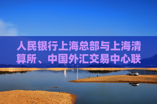 人民银行上海总部与上海清算所、中国外汇交易中心联合举办银行间衍生品扩大开放专题座谈会  第1张