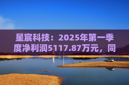 星宸科技：2025年第一季度净利润5117.87万元，同比增长0.48%  第1张