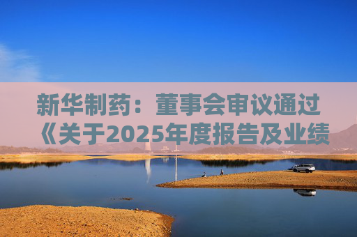 新华制药：董事会审议通过《关于2025年度报告及业绩公告的议案》等多项议案