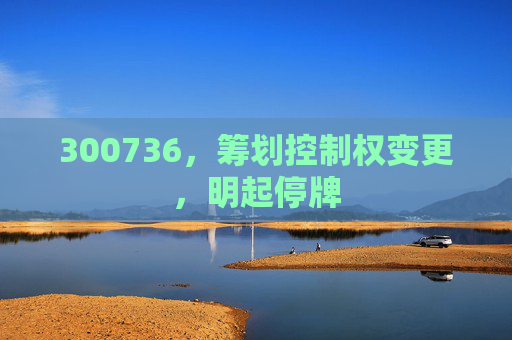 300736，筹划控制权变更，明起停牌
