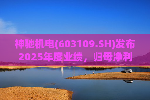 神驰机电(603109.SH)发布2025年度业绩，归母净利润1.34亿元，同比下降30.94%