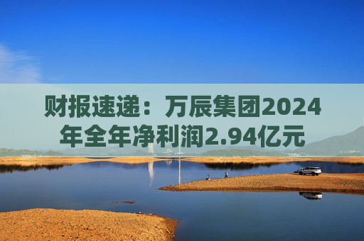 财报速递：万辰集团2024年全年净利润2.94亿元