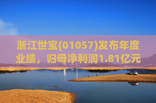 浙江世宝(01057)发布年度业绩，归母净利润1.81亿元 同比增加21.05%