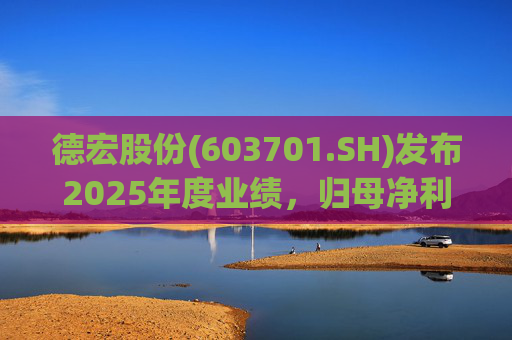 德宏股份(603701.SH)发布2025年度业绩，归母净利润1153.69万元，同比下降74.99%  第1张