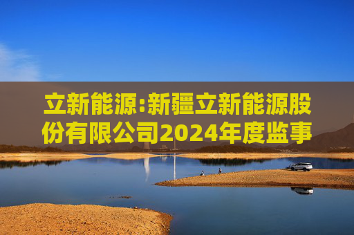 立新能源:新疆立新能源股份有限公司2024年度监事会工作报告