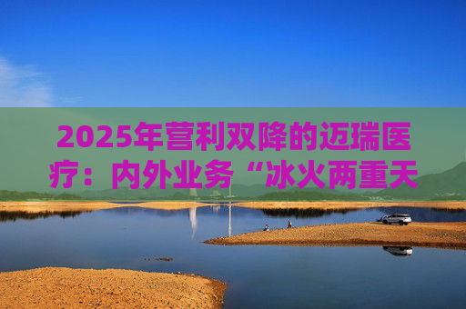 2025年营利双降的迈瑞医疗：内外业务“冰火两重天”