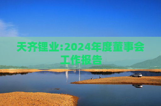 天齐锂业:2024年度董事会工作报告  第1张