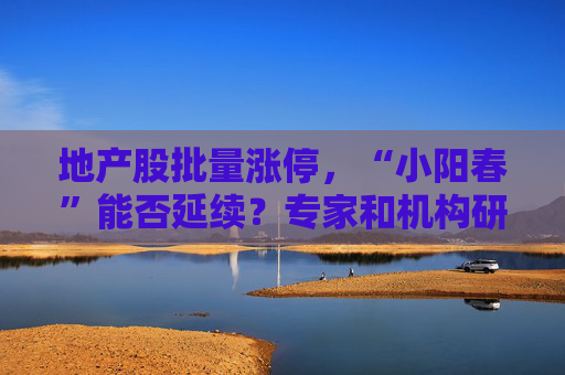 地产股批量涨停，“小阳春”能否延续？专家和机构研判来了