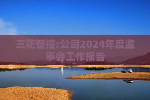 三花智控:公司2024年度监事会工作报告  第1张