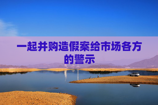 一起并购造假案给市场各方的警示